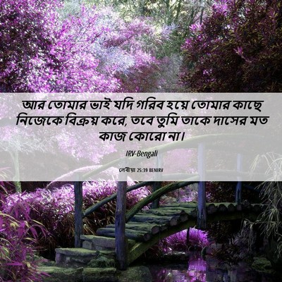 Picture 06 - লেবীয়া 25:39 BENIRV - আর তোমার ভাই যদি - Bible Verse Picture
