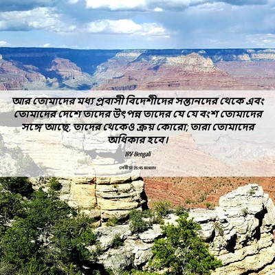Picture 06 - লেবীয়া 25:45 BENIRV - আর তোমাদের মধ্য - Bible Verse Picture