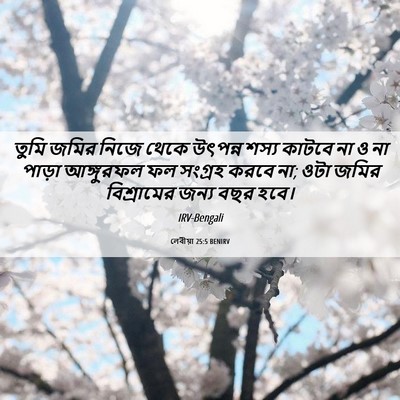 Picture 06 - লেবীয়া 25:5 BENIRV - তুমি জমির নিজে - Bible Verse Picture
