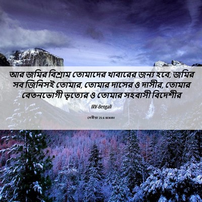 Picture 06 - লেবীয়া 25:6 BENIRV - আর জমির বিশ্রাম - Bible Verse Picture