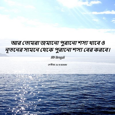 Picture 06 - লেবীয়া 26:10 BENIRV - আর তোমরা জমানো - Bible Verse Picture