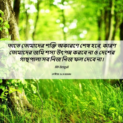 Picture 06 - লেবীয়া 26:20 BENIRV - তাতে তোমাদের - Bible Verse Picture
