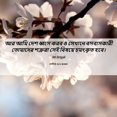 Picture 06 - লেবীয়া 26:32 BENIRV - আর আমি দেশ ধ্বংস - Bible Verse Picture