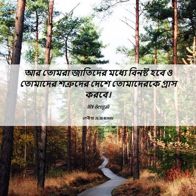 Picture 06 - লেবীয়া 26:38 BENIRV - আর তোমরা জাতিদের - Bible Verse Picture