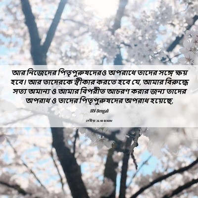 Picture 06 - লেবীয়া 26:40 BENIRV - আর নিজেদের - Bible Verse Picture
