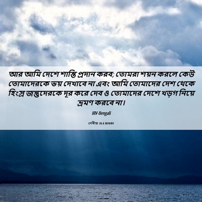 Picture 06 - লেবীয়া 26:6 BENIRV - আর আমি দেশে শান্তি - Bible Verse Picture