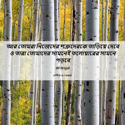 Picture 06 - লেবীয়া 26:7 BENIRV - আর তোমরা নিজেদের - Bible Verse Picture