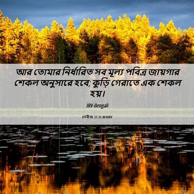 Picture 06 - লেবীয়া 27:25 BENIRV - আর তোমার - Bible Verse Picture