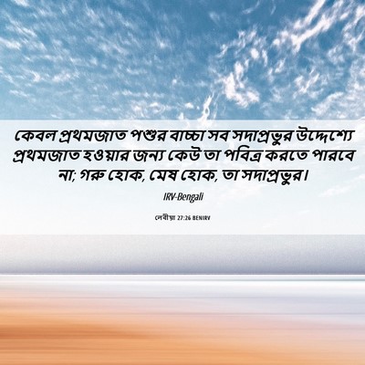 Picture 06 - লেবীয়া 27:26 BENIRV - কেবল প্রথমজাত - Bible Verse Picture