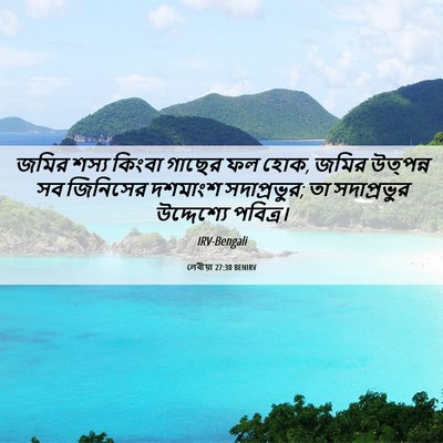 Picture 06 - লেবীয়া 27:30 BENIRV - জমির শস্য কিংবা - Bible Verse Picture