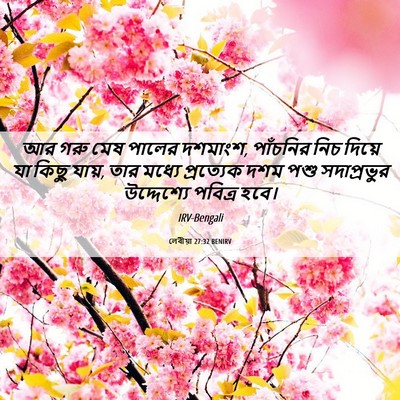 Picture 06 - লেবীয়া 27:32 BENIRV - আর গরু মেষ পালের - Bible Verse Picture