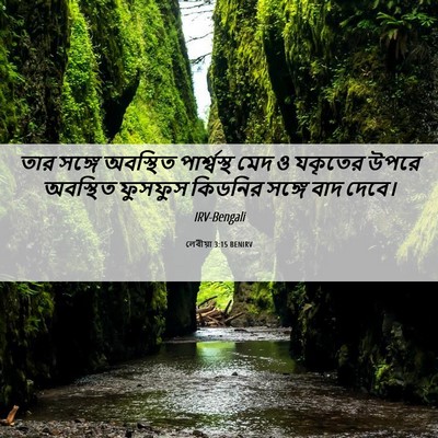 Picture 06 - লেবীয়া 3:15 BENIRV - তার সঙ্গে অবস্থিত - Bible Verse Picture