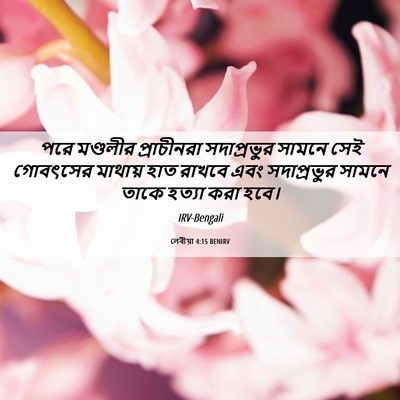Picture 06 - লেবীয়া 4:15 BENIRV - পরে মণ্ডলীর - Bible Verse Picture