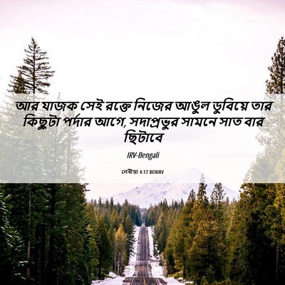 Picture 06 - লেবীয়া 4:17 BENIRV - আর যাজক সেই রক্তে - Bible Verse Picture