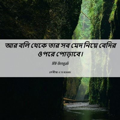 Picture 06 - লেবীয়া 4:19 BENIRV - আর বলি থেকে তার সব - Bible Verse Picture