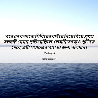 Picture 06 - লেবীয়া 4:21 BENIRV - পরে সে বলদকে - Bible Verse Picture