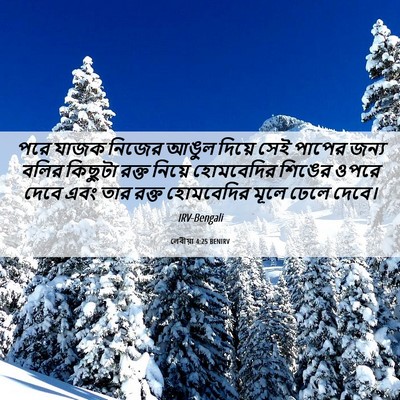 Picture 06 - লেবীয়া 4:25 BENIRV - পরে যাজক নিজের - Bible Verse Picture