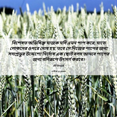 Picture 06 - লেবীয়া 4:3 BENIRV - বিশেষত অভিষিক্ত - Bible Verse Picture