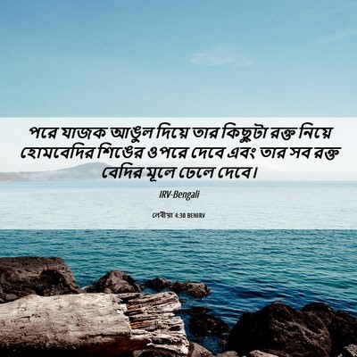 Picture 06 - লেবীয়া 4:30 BENIRV - পরে যাজক আঙুল - Bible Verse Picture