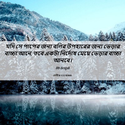 Picture 06 - লেবীয়া 4:32 BENIRV - যদি সে পাপের জন্য - Bible Verse Picture