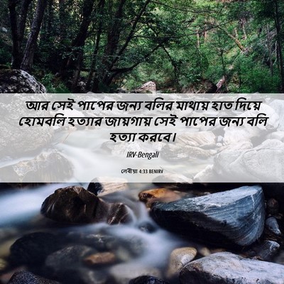 Picture 06 - লেবীয়া 4:33 BENIRV - আর সেই পাপের জন্য - Bible Verse Picture