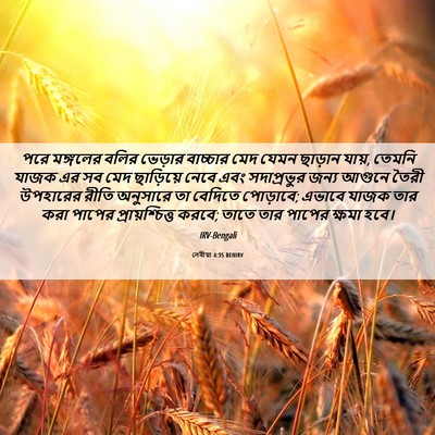 Picture 06 - লেবীয়া 4:35 BENIRV - পরে মঙ্গলের বলির - Bible Verse Picture