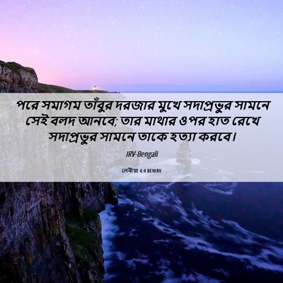 Picture 06 - লেবীয়া 4:4 BENIRV - পরে সমাগম তাঁবুর - Bible Verse Picture