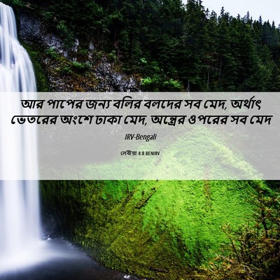 Picture 06 - লেবীয়া 4:8 BENIRV - আর পাপের জন্য বলির - Bible Verse Picture