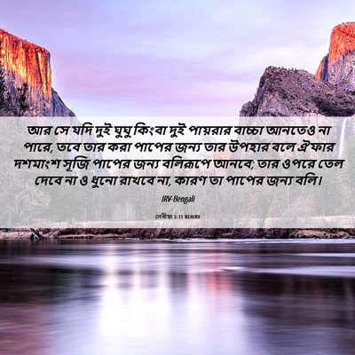 Picture 06 - লেবীয়া 5:11 BENIRV - আর সে যদি দুই ঘুঘু - Bible Verse Picture