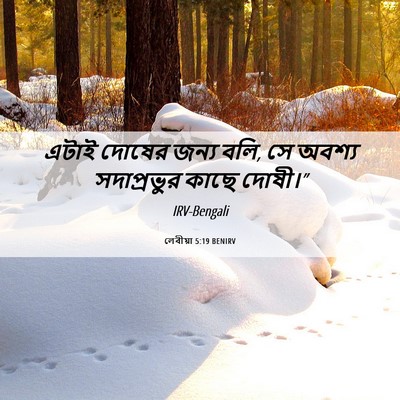 Picture 06 - লেবীয়া 5:19 BENIRV - এটাই দোষের জন্য - Bible Verse Picture