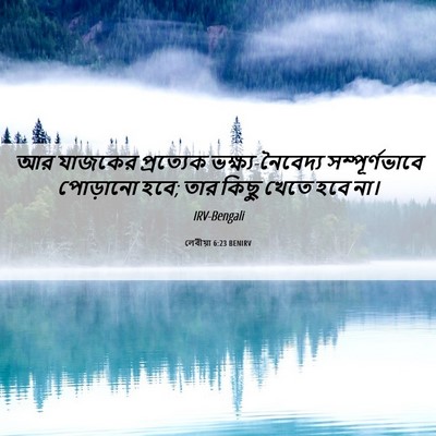 Picture 06 - লেবীয়া 6:23 BENIRV - আর যাজকের - Bible Verse Picture