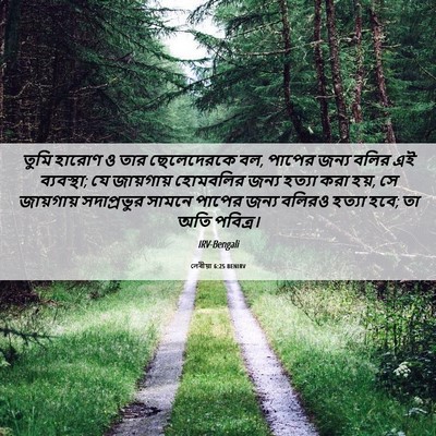 Picture 06 - লেবীয়া 6:25 BENIRV - তুমি হারোণ ও তার - Bible Verse Picture