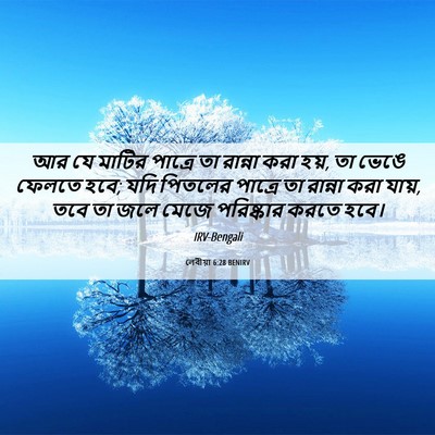 Picture 06 - লেবীয়া 6:28 BENIRV - আর যে মাটির পাত্রে - Bible Verse Picture