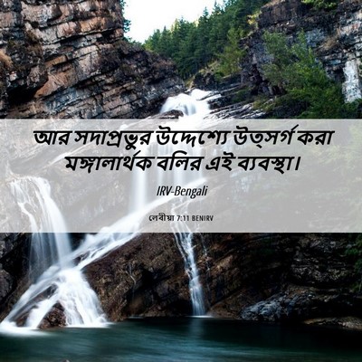 Picture 06 - লেবীয়া 7:11 BENIRV - আর সদাপ্রভুর - Bible Verse Picture