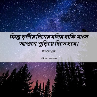 Picture 06 - লেবীয়া 7:17 BENIRV - কিন্তু তৃতীয় - Bible Verse Picture