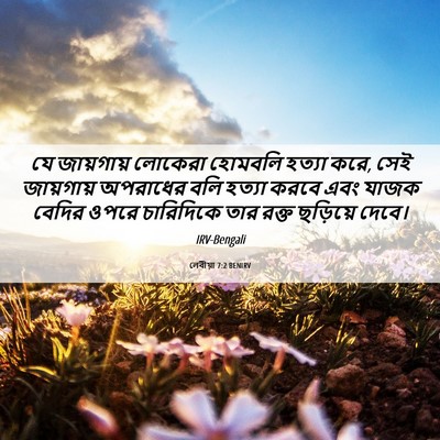 Picture 06 - লেবীয়া 7:2 BENIRV - যে জায়গায় - Bible Verse Picture