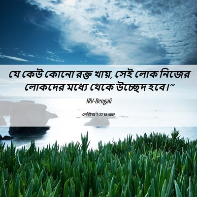 Picture 06 - লেবীয়া 7:27 BENIRV - যে কেউ কোনো রক্ত - Bible Verse Picture