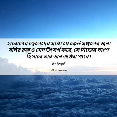 Picture 06 - লেবীয়া 7:33 BENIRV - হারোণের ছেলেদের - Bible Verse Picture