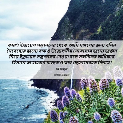Picture 06 - লেবীয়া 7:34 BENIRV - কারণ ইস্রায়েল - Bible Verse Picture