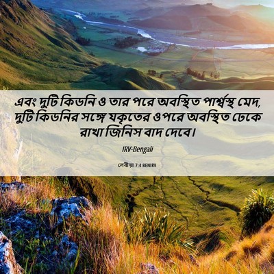 Picture 06 - লেবীয়া 7:4 BENIRV - এবং দুটি কিডনি ও - Bible Verse Picture