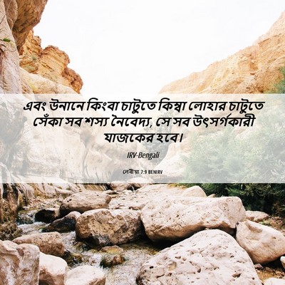 Picture 06 - লেবীয়া 7:9 BENIRV - এবং উনানে কিংবা - Bible Verse Picture