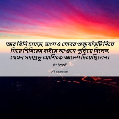 Picture 06 - লেবীয়া 8:17 BENIRV - আর তিনি চামড়া, - Bible Verse Picture