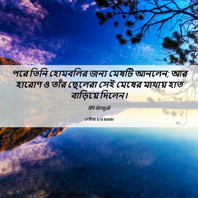 Picture 06 - লেবীয়া 8:18 BENIRV - পরে তিনি হোমবলির - Bible Verse Picture