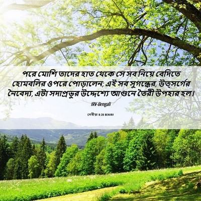 Picture 06 - লেবীয়া 8:28 BENIRV - পরে মোশি তাদের হাত - Bible Verse Picture