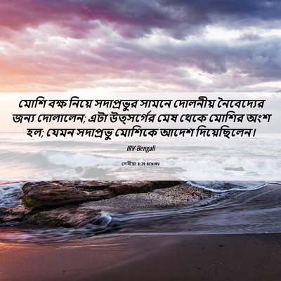Picture 06 - লেবীয়া 8:29 BENIRV - মোশি বক্ষ নিয়ে - Bible Verse Picture