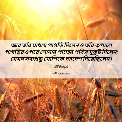 Picture 06 - লেবীয়া 8:9 BENIRV - আর তাঁর মাথায় - Bible Verse Picture