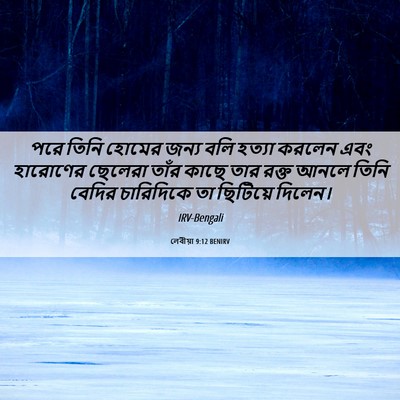Picture 06 - লেবীয়া 9:12 BENIRV - পরে তিনি হোমের - Bible Verse Picture