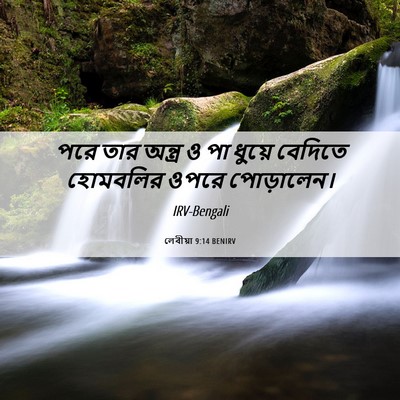 Picture 06 - লেবীয়া 9:14 BENIRV - পরে তার অন্ত্র ও পা - Bible Verse Picture