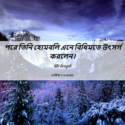 Picture 06 - লেবীয়া 9:16 BENIRV - পরে তিনি হোমবলি - Bible Verse Picture