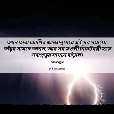 Picture 06 - লেবীয়া 9:5 BENIRV - তখন তারা মোশির - Bible Verse Picture